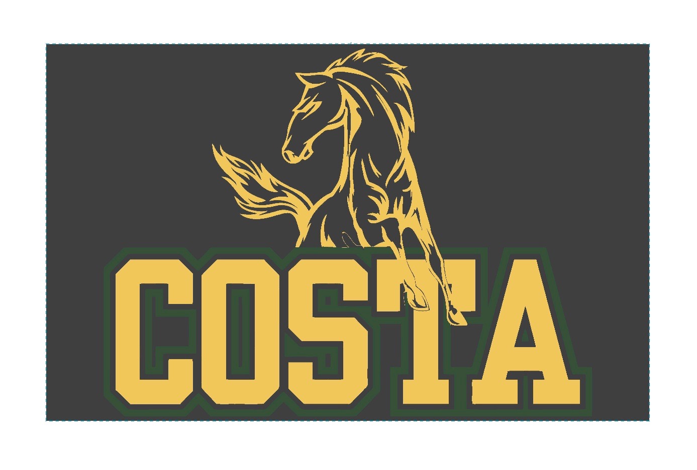 Store Mira Costa Bands